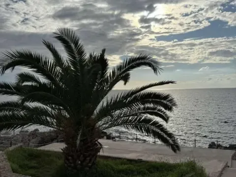 Prodaja, plac, 400m², Dobra Voda, Budva - image 3