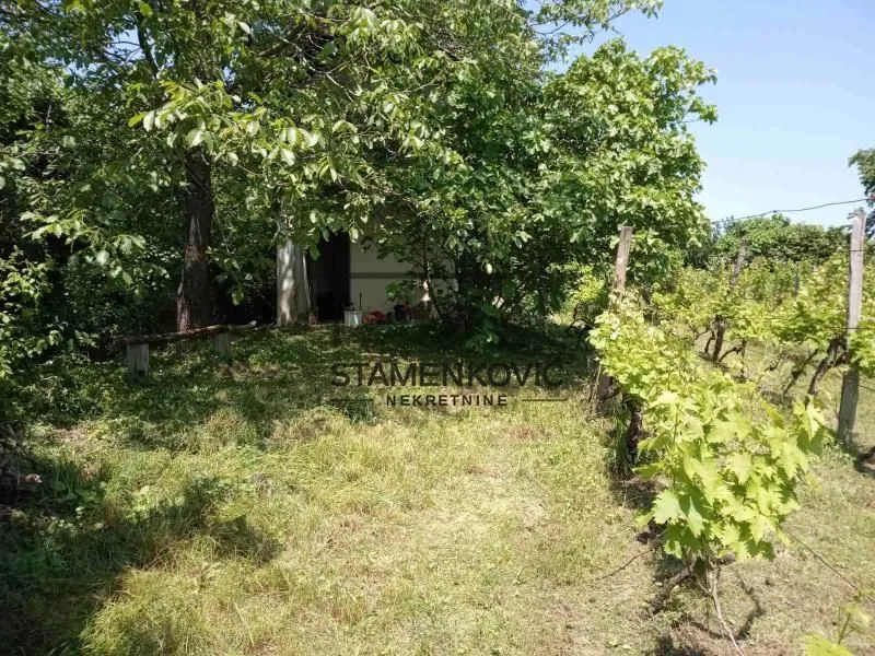 Sale, house, 30m², Berkasovo, Šid