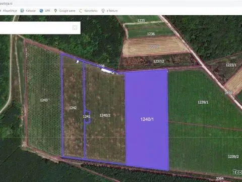 Prodaja, plac, 54200m², Ašanja, Pećinci - image 5