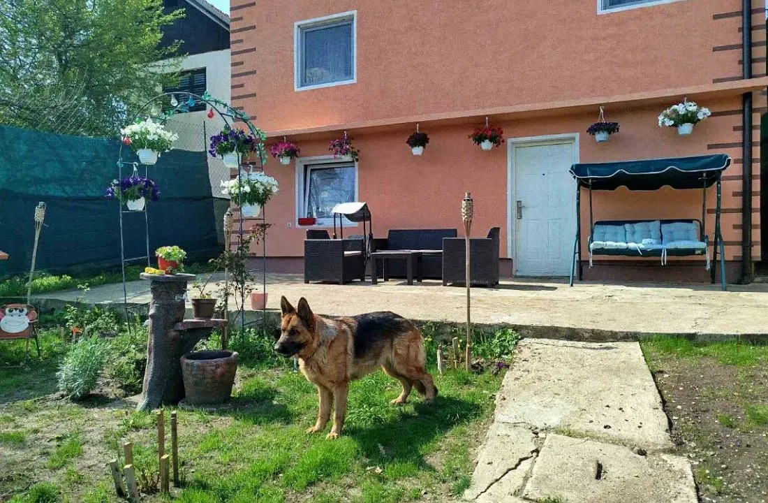 Prodaja, kuća, 210m², Borsko jezero, Bor