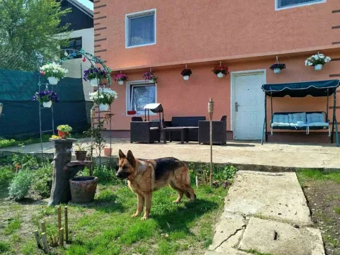 Prodaja, kuća, 210m², Borsko jezero, Bor - image 1