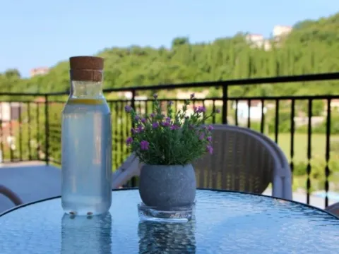 Izdavanje, jednosoban stan, 45m², Zelenika, Herceg Novi - image 6