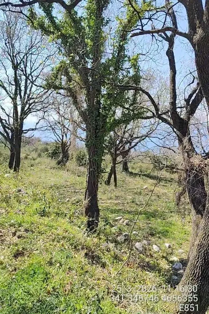 Prodaja, plac, 1227m², Dobre Vode, Bar