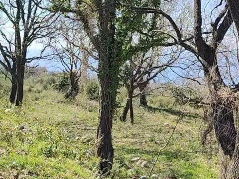 Prodaja, plac, 1227m², Dobre Vode, Bar - image 12