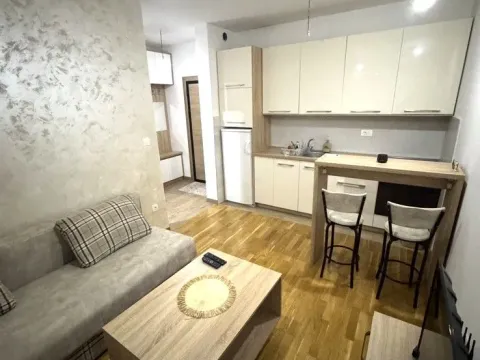 Izdavanje, jednosoban stan, 22m², Zabjelo, Podgorica - image 3