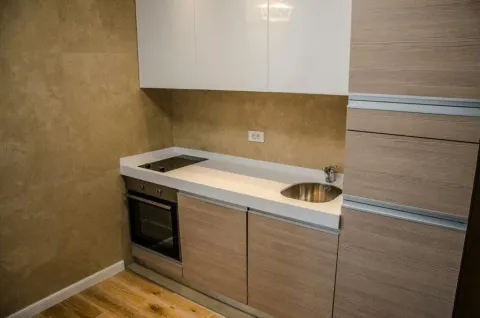 Izdavanje, jednosoban stan, 45m², Centar, Podgorica - image 2