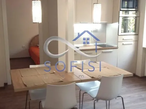 Izdavanje, jednosoban stan, 44m², Železnička Stanica, Novi Sad Sve Podlokacije - image 3