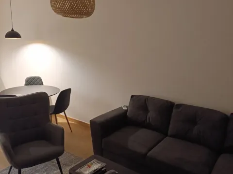 Izdavanje, jednosoban stan, 45m², City Kvart, Podgorica - image 2