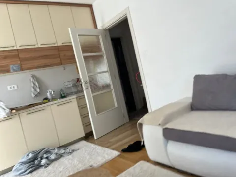 Prodaja, jednosoban stan, 45m², Zagorič, Podgorica - image 9