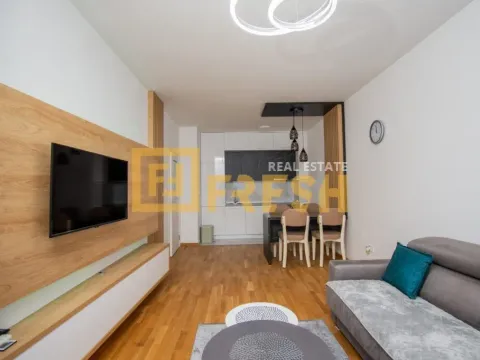 Izdavanje, jednosoban stan, 46m², Stari Aerodrom, Podgorica - image 9