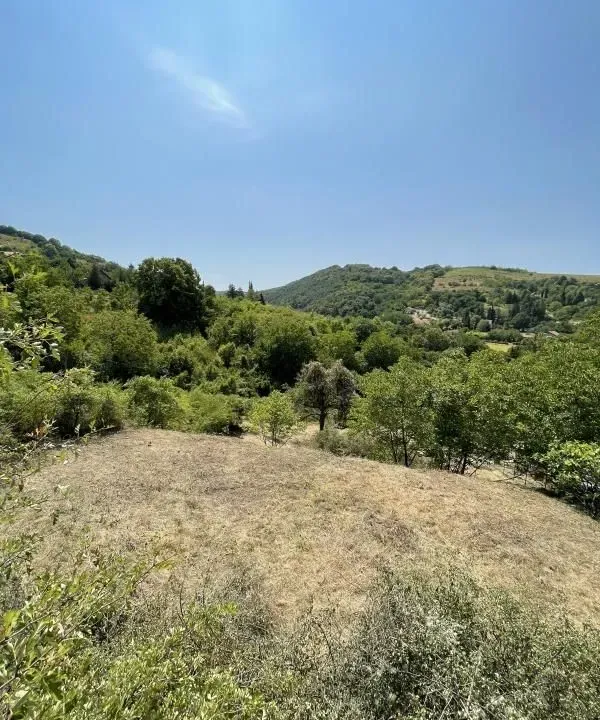 Sale, land lot, 1500m², Rakovac, Novi Sad Sve Podlokacije