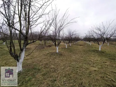 Prodaja, plac, 5800m², Banjani, Ub - image 5