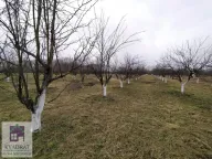 Prodaja, plac, 58m², Banjani, Ub - image 5