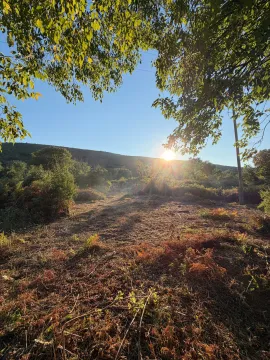 Pogled na prostrano zemljište sa rastinjem i drvećem. - image 6