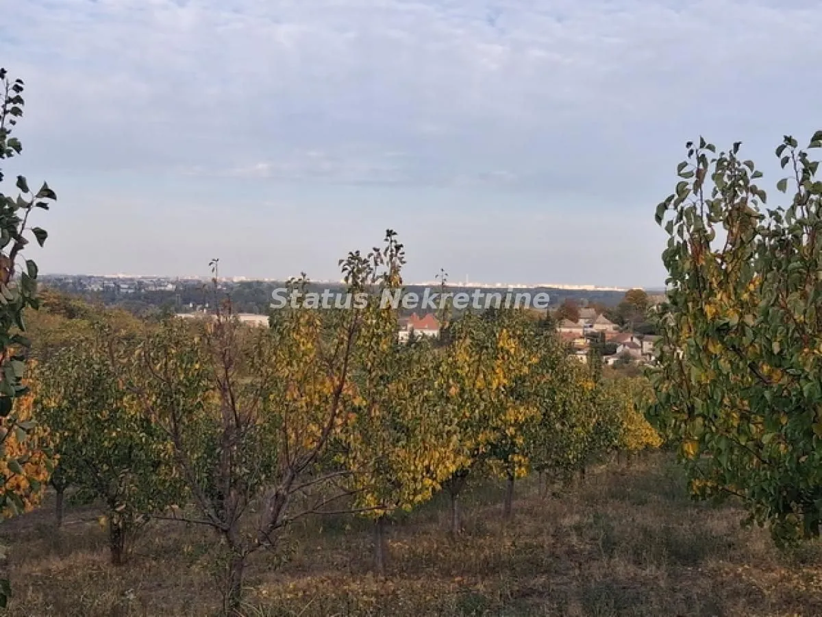 Prodaja, plac, 7500m², Beočin, Srbija