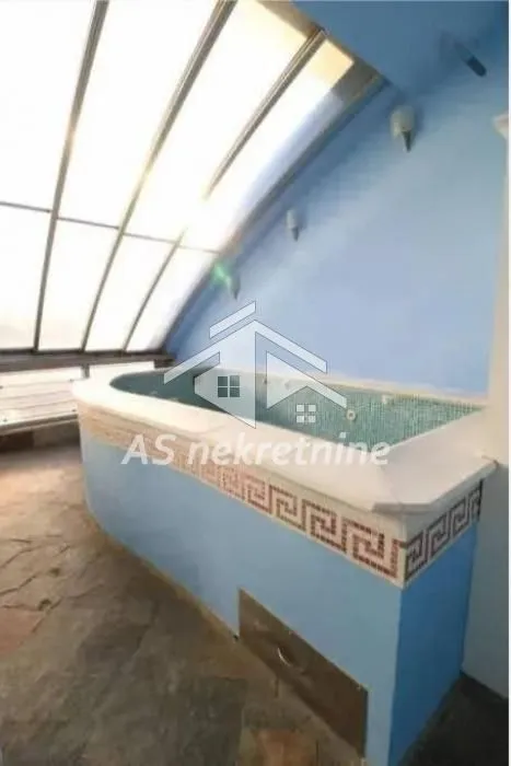 Bathroom with a large bathtub and skylights.