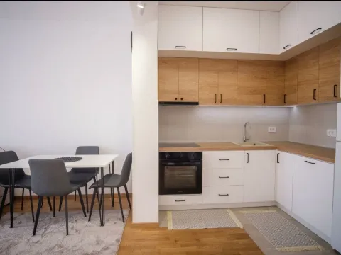 Rent, one bedroom apartment, 45m², Stari Aerodrom, Podgorica - image 3