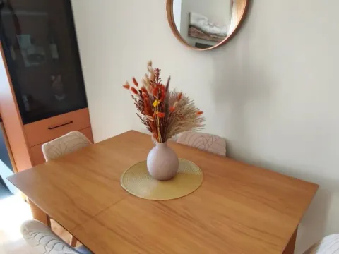 Rent, one bedroom apartment, 48m², Zabjelo, Podgorica - image 5