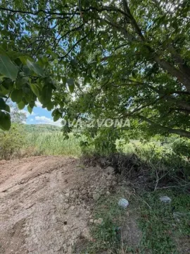 Zelenilo i prirodno okruženje na placu. - image 4