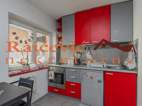 Izdavanje, jednosoban stan, 31m², Zvezdara Sve Podlokacije, Beograd - image 4