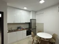 Izdavanje, jednosoban stan, 45m², Ljubović, Podgorica - image 1