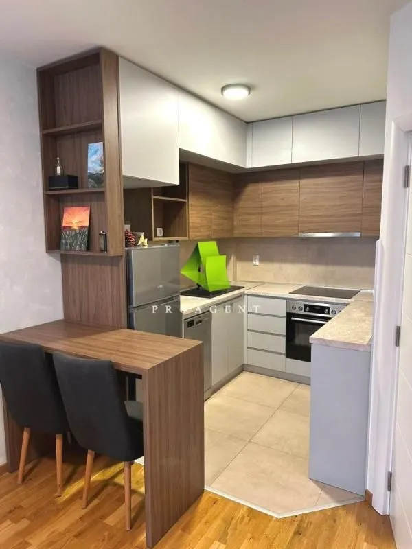 Rent, one bedroom apartment, 47m², Pantelej, Niš