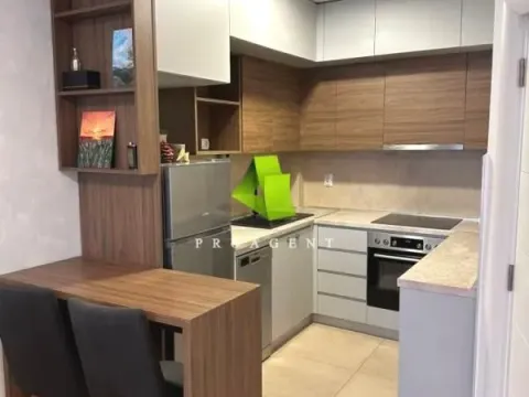 Rent, one bedroom apartment, 47m², Pantelej, Niš - image 4