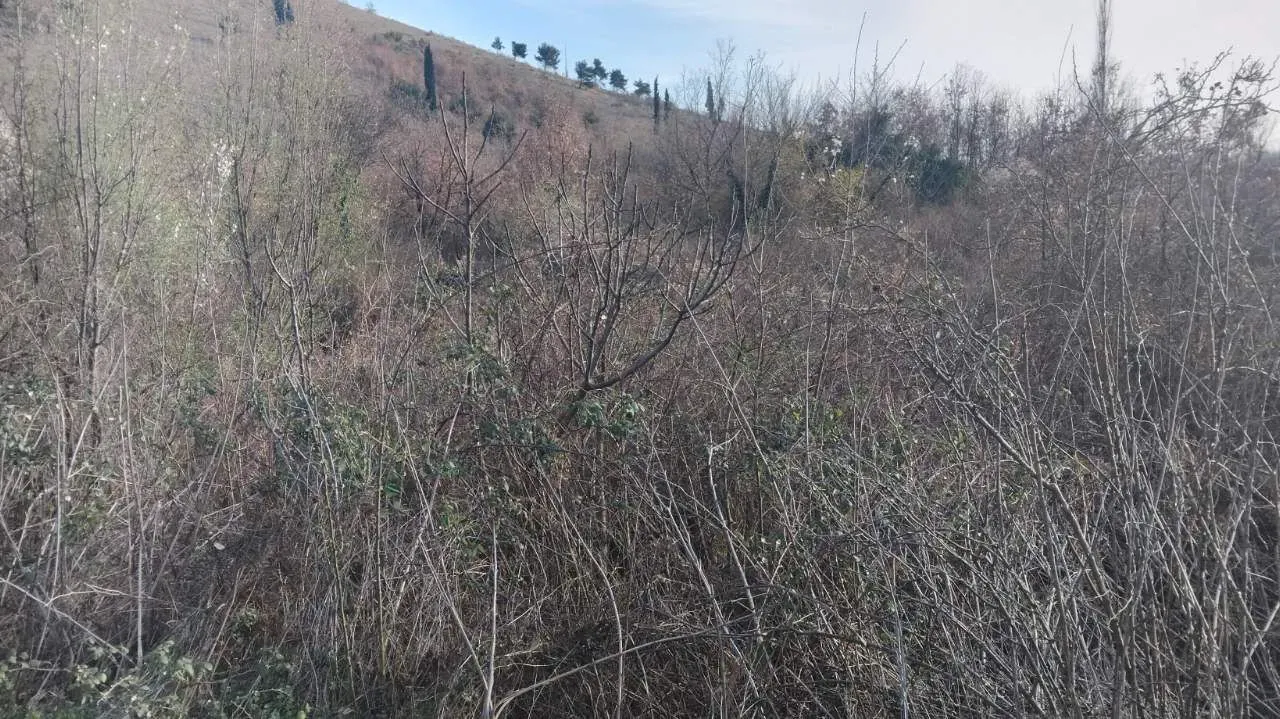 Sale, land lot, 2400m², Dajbabe, Podgorica