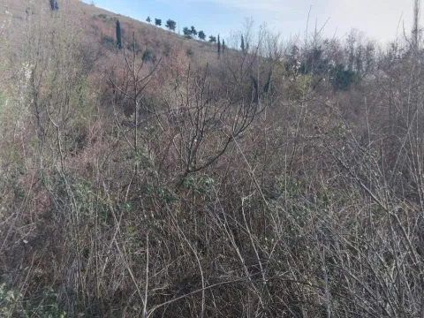 Zemljište in Dajbabe