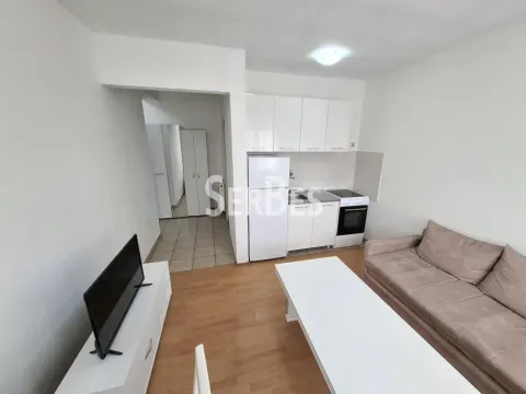 Izdavanje, jednosoban stan, 27m², Detelinara, Novi Sad Sve Podlokacije - image 7