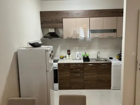 Izdavanje, jednosoban stan, 49m², Central Point, Podgorica - image 4