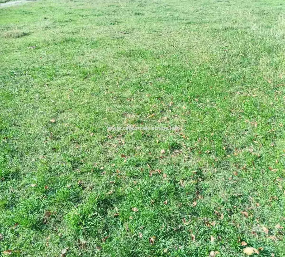 Prodaja, plac, 8711m², Grlić, Danilovgrad