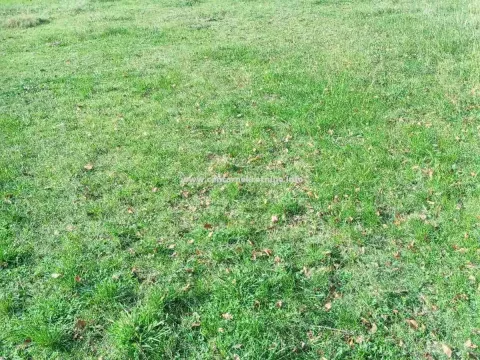 Prodaja, plac, 8711m², Grlić, Danilovgrad - image 2