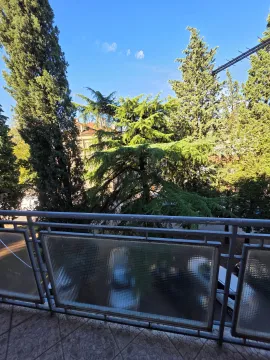 View from the terrace overlooking surrounding greenery and trees. - image 16