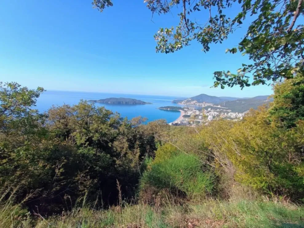 Prodaja, plac, 3800m², Kuljače, Budva