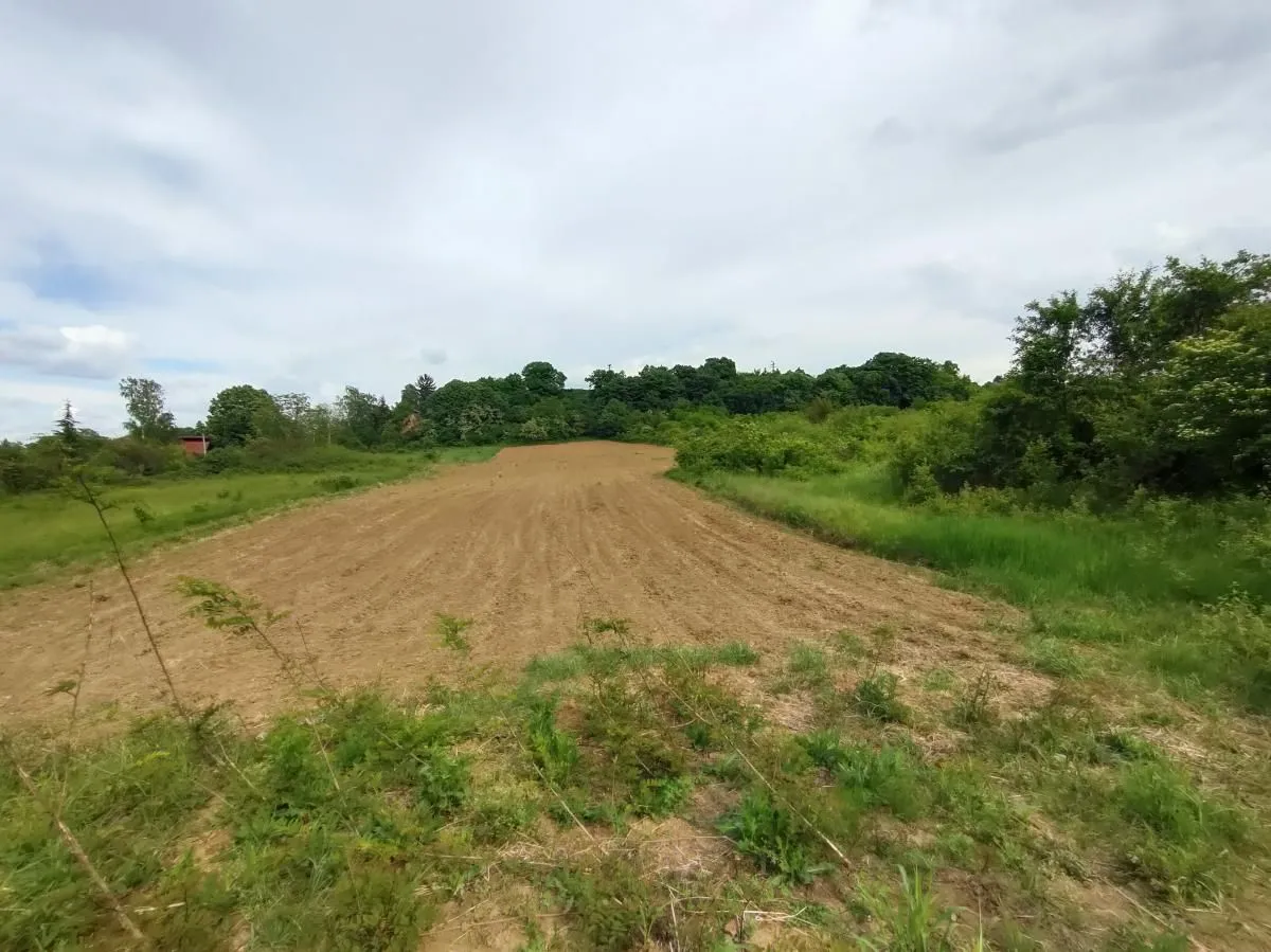 Prodaja, plac, 7600m², Ledinci, Petrovaradin