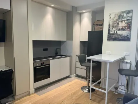 Rent, one bedroom apartment, 30m², Savski Venac, Beograd - image 5