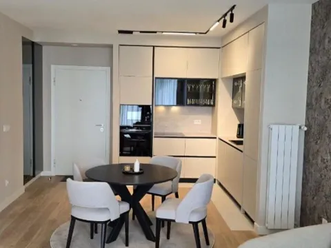 Izdavanje, dvosoban stan, 55m², Savski Venac, Beograd - image 10