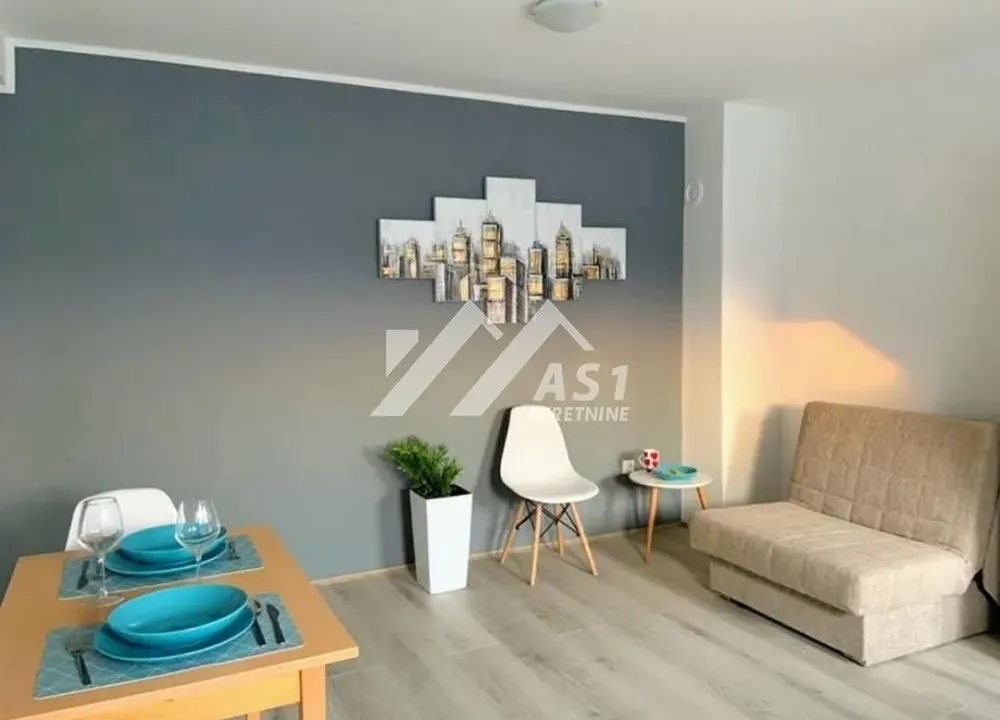 Izdavanje, stan, 28m², Bulevar Oslobodjenja, Novi Sad Sve Podlokacije