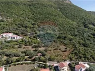 Prodaja, plac, 14000m², Herceg Novi, Crna Gora - image 14