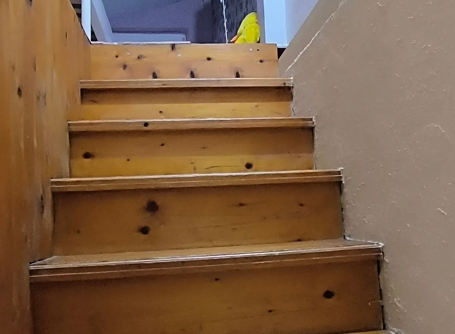 Sale, two bedroom apartment, 53m², Skojevsko Naselje, Beograd