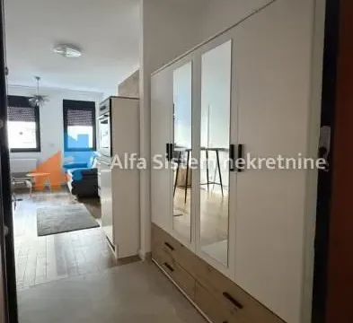 Rent, two bedroom apartment, 45m², Vukov Spomenik, Zvezdara Sve Podlokacije - image 9