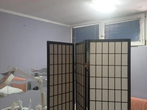 Prodaja, poslovni prostor, 99m², Palilula Sve Podlokacije, Beograd - image 6