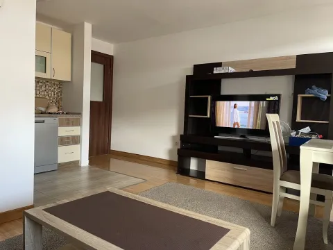 Dnevna soba sa TV-om i malom kuhinjom u pozadini. - image 13