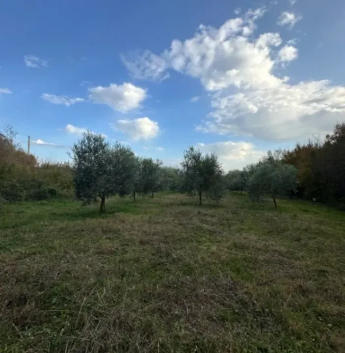 Prodaja, plac, 6000m², Darza, Ulcinj