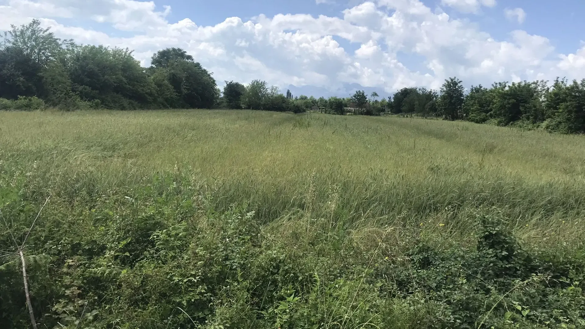 Prodaja, plac, 10000m², Podgorica, Crna Gora