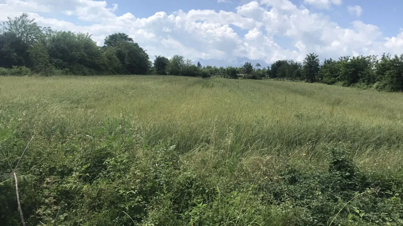 Prodaja, plac, 10000m², Podgorica, Crna Gora