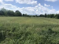 Prodaja, plac, 10000m², Podgorica, Crna Gora - image 1