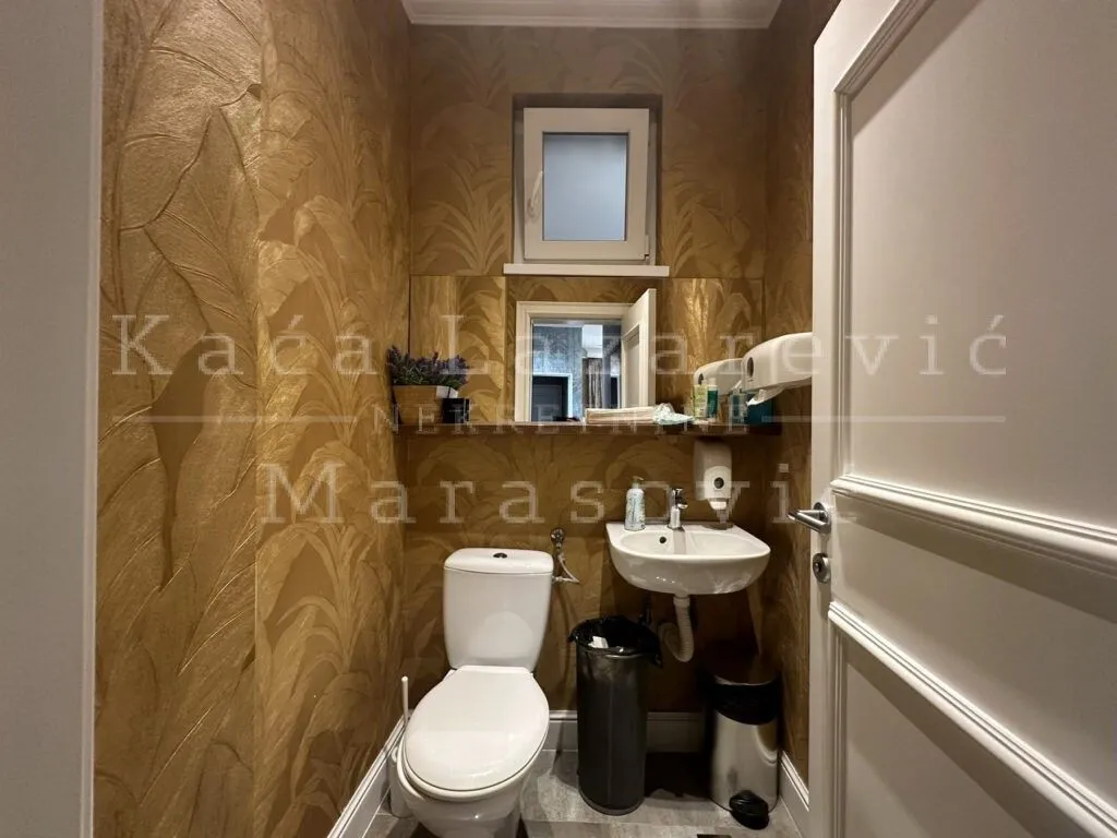 Izdavanje, stan, 250m², Skadarlija, Beograd