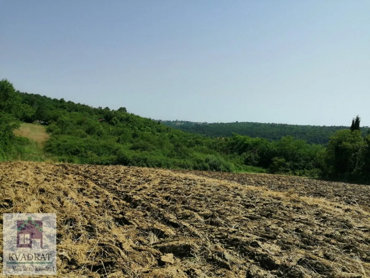 Prodaja, plac, 10600m², Umka, Beograd
